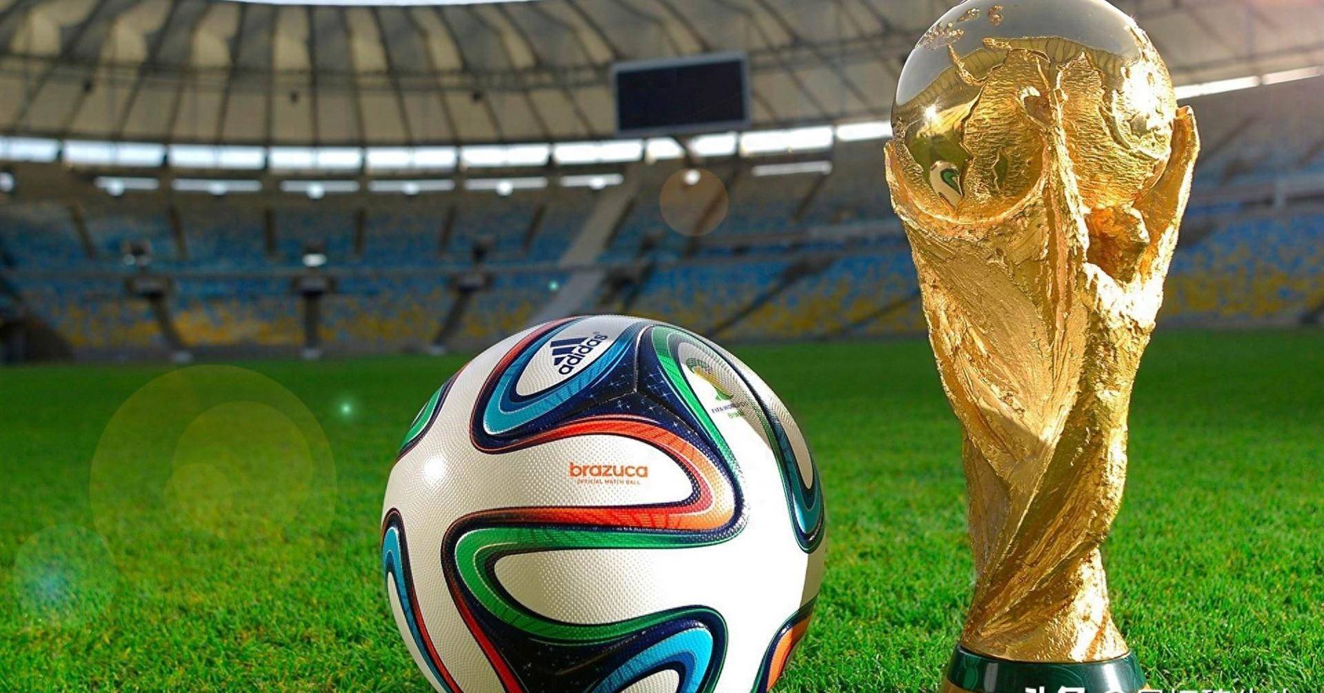 赛季进入中 赛季进入中